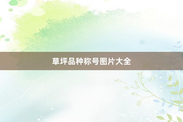 草坪品种称号图片大全